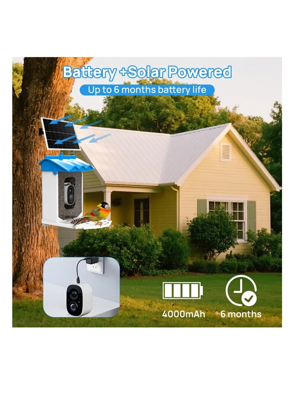 NWT Beuteka Smart AI Birdfeeder w/ Camera and Solar Power